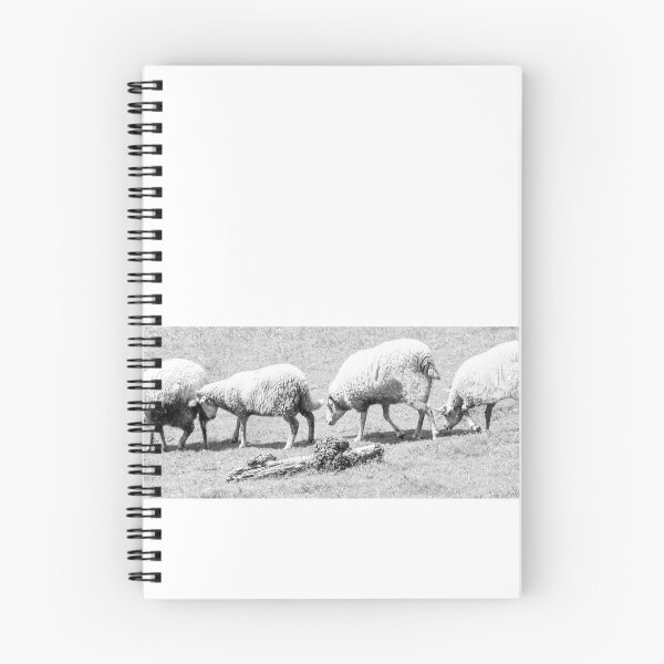 Item preview, counting sheep  designed and sold by TessAndre.