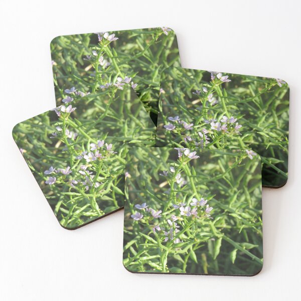 Item preview, Sea rocket flowers designed and sold by greentiger1.