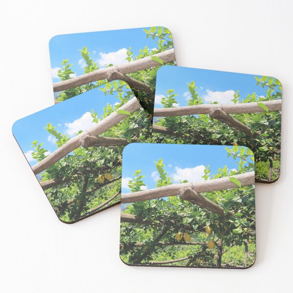 Item preview, Italian Lemons on the Amalfi Coast designed and sold by vivaladolcevita.