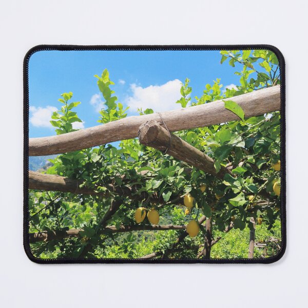 Item preview, Italian Lemons on the Amalfi Coast designed and sold by vivaladolcevita.