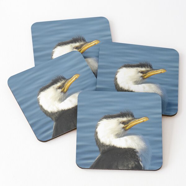 Item preview, Little pied cormorant up close designed and sold by greentiger1.