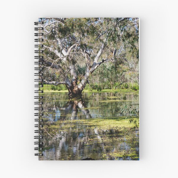 Item preview, Tree Reflection designed and sold by D-GaP.