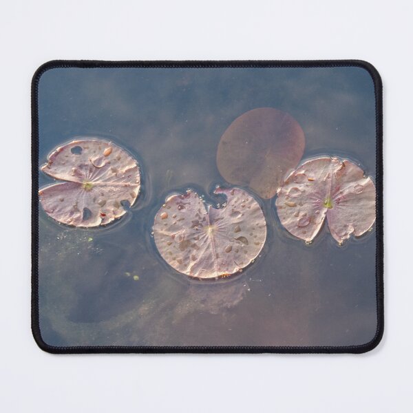 Item preview, Three Lilly Pads designed and sold by barkeypf.