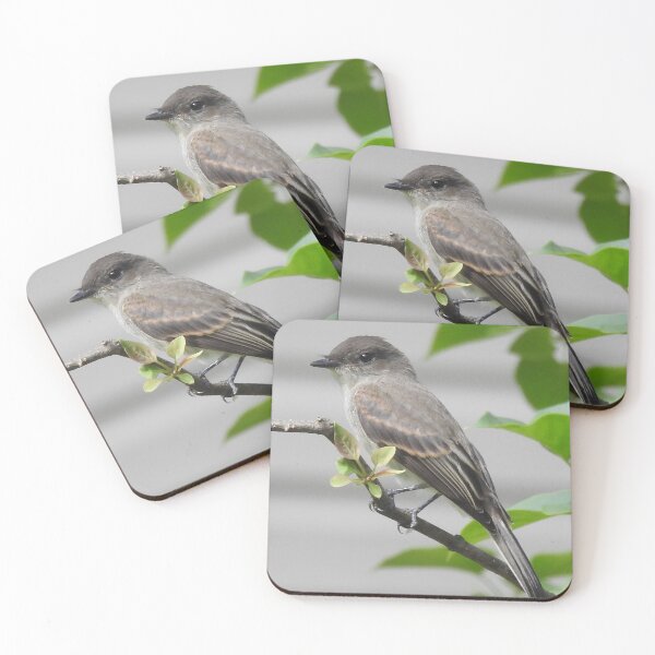 Item preview, Eastern Phoebe designed and sold by priesterjen.