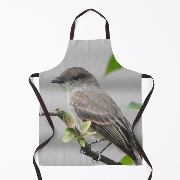 Item preview, Eastern Phoebe designed and sold by priesterjen.