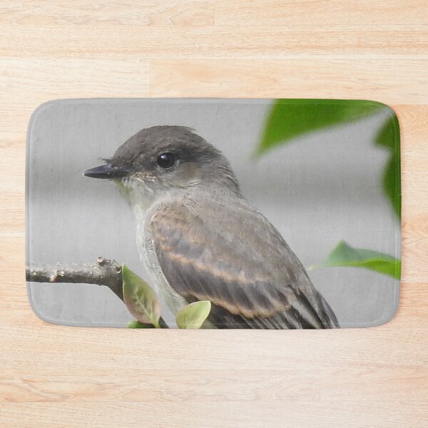 Item preview, Eastern Phoebe designed and sold by priesterjen.