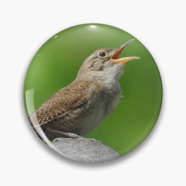 Item preview, House Wren designed and sold by priesterjen.