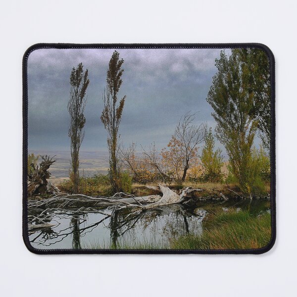 Item preview, The View from a Dalles Dam designed and sold by Larry Davis.