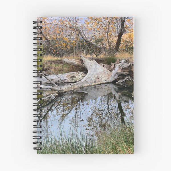 Item preview, Fallen on a Dalles Reflection designed and sold by Larry Davis.