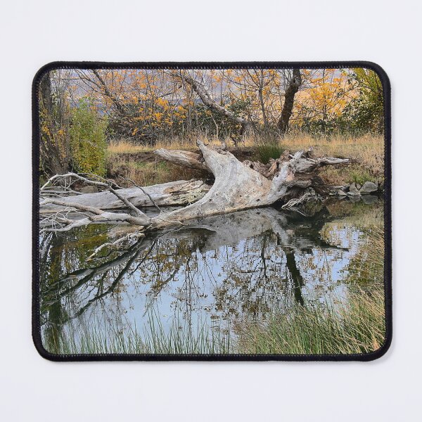 Item preview, Fallen on a Dalles Reflection designed and sold by Larry Davis.