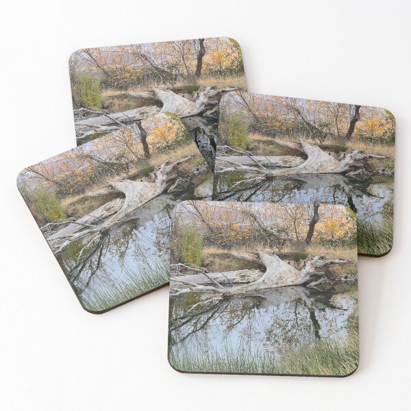 Item preview, Fallen on a Dalles Reflection designed and sold by Larry Davis.