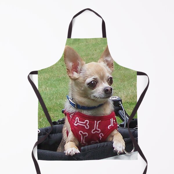 Item preview, Adventure Ready Pup designed and sold by priesterjen.