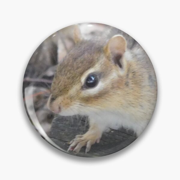 Item preview, Chipmunk  designed and sold by priesterjen.