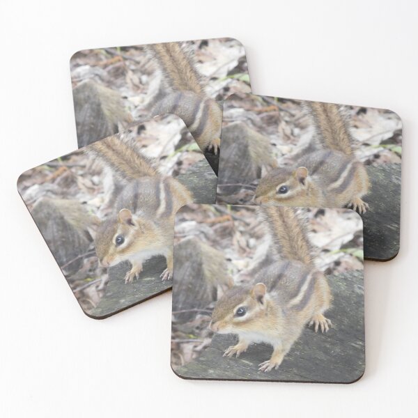 Item preview, Chipmunk  designed and sold by priesterjen.