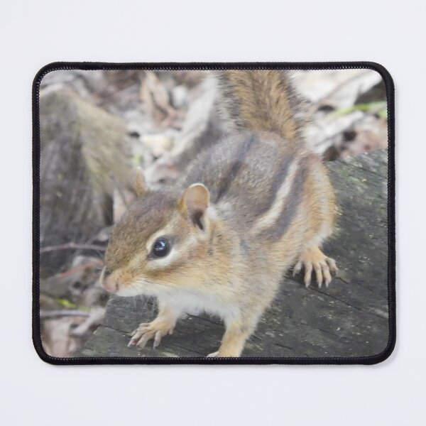 Item preview, Chipmunk  designed and sold by priesterjen.
