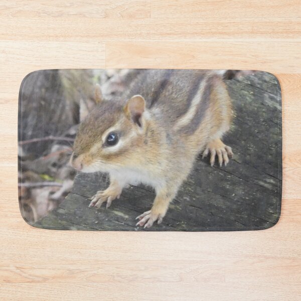 Item preview, Chipmunk  designed and sold by priesterjen.