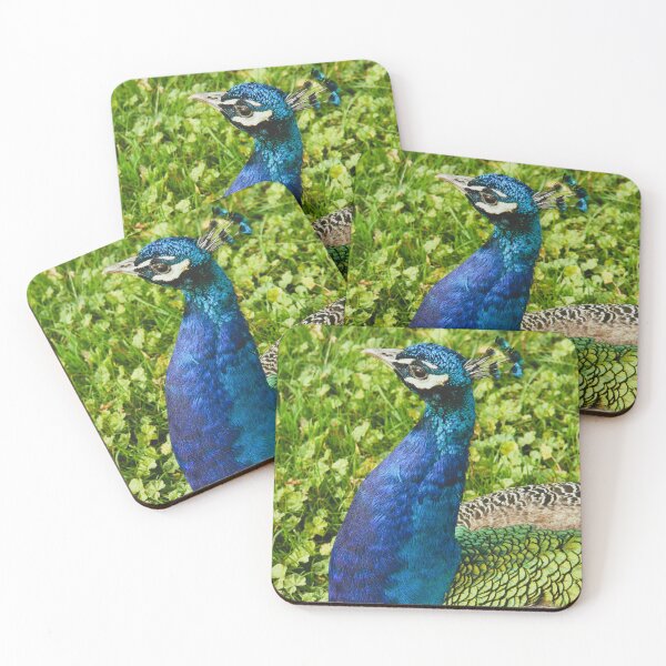 Item preview, Take as many as you like... I've got all day...! designed and sold by Larry Davis.