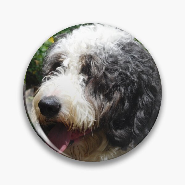 Item preview, Cute Shaggy Dog designed and sold by priesterjen.