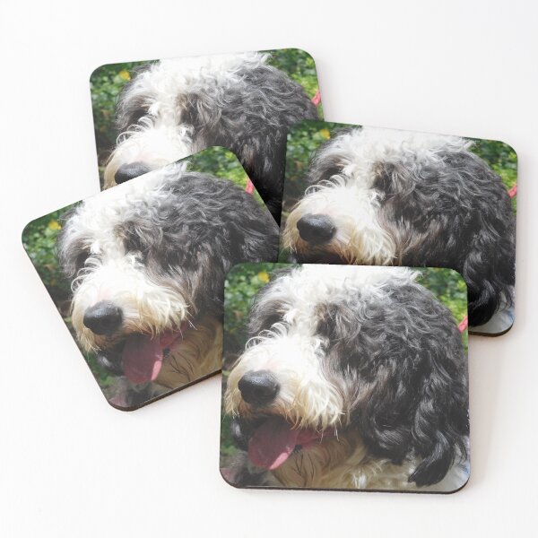 Item preview, Cute Shaggy Dog designed and sold by priesterjen.