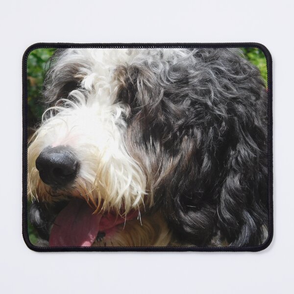 Item preview, Cute Shaggy Dog designed and sold by priesterjen.