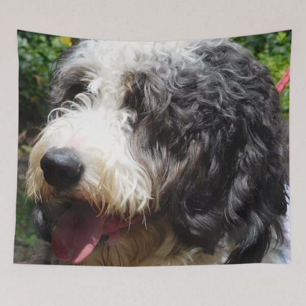Item preview, Cute Shaggy Dog designed and sold by priesterjen.