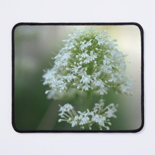 Item preview, Ethereal Flower designed and sold by LeaBeth69.