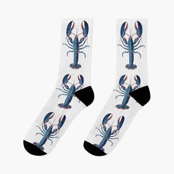 Item preview, lobster, seafood designed and sold by DerSenat.