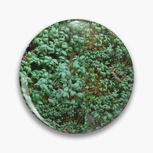 Item preview, Green Vitality – Fresh Garden Cress Close-Up Collage designed and sold by Marzenia-M-L.