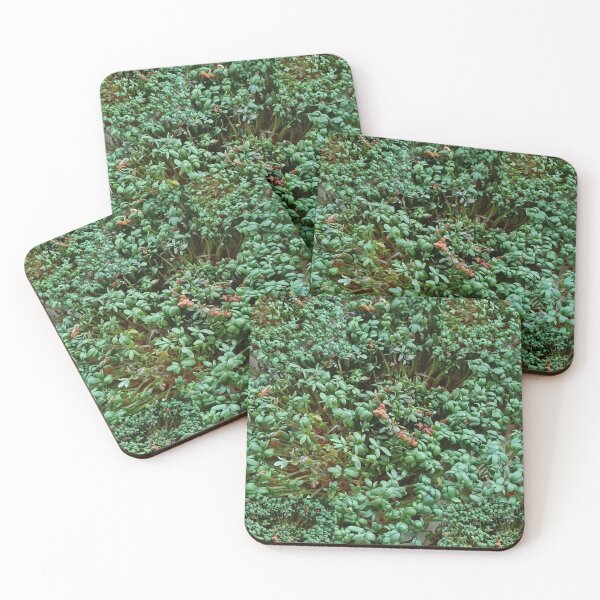 Item preview, Green Vitality – Fresh Garden Cress Close-Up Collage designed and sold by Marzenia-M-L.