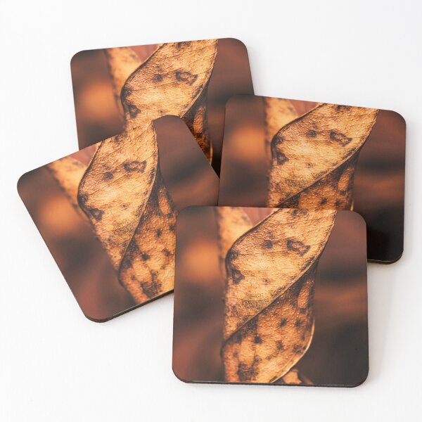 Item preview, Interesting Burnt Leaf designed and sold by robdwildlife.