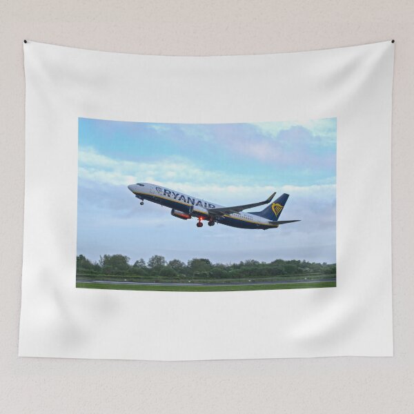 Item preview, Ryanair Boeing 737 EI-EKT MAN to CRL designed and sold by Skyframe Aviation.