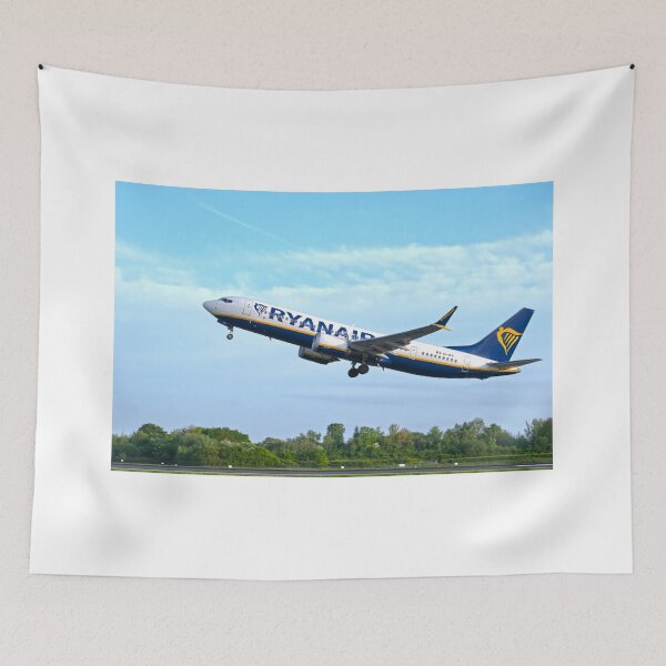 Item preview, Ryanair Boeing 737 EI-IKA MAN to ALC designed and sold by Skyframe Aviation.