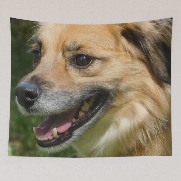 Item preview, Mixed Breed Dog 1 designed and sold by priesterjen.