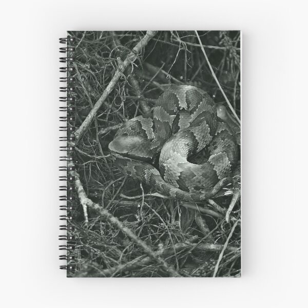 Item preview, Copperhead Snake Black And White designed and sold by MercerImages.