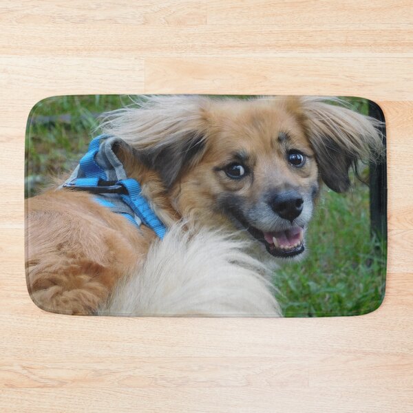 Item preview, Mixed Breed Dog 2 designed and sold by priesterjen.
