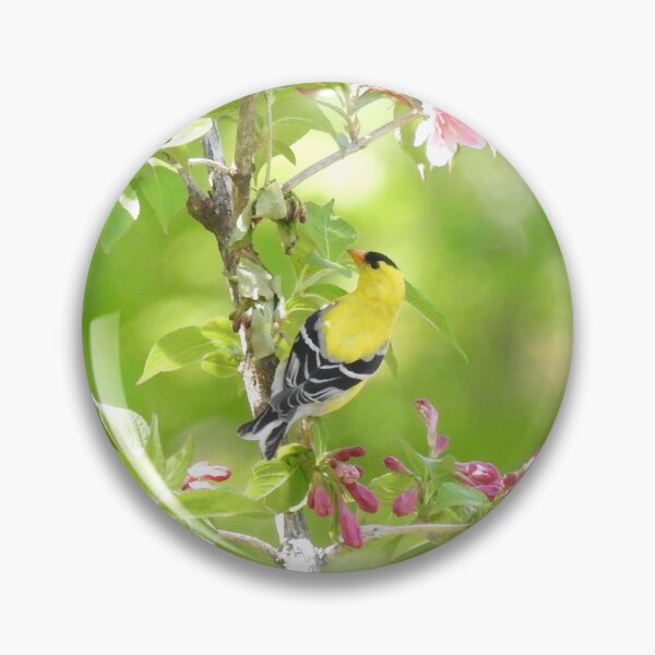 Item preview, American Goldfinch  designed and sold by priesterjen.