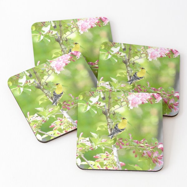 Item preview, American Goldfinch  designed and sold by priesterjen.