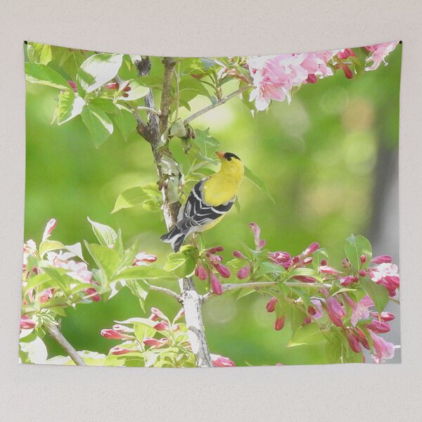 Item preview, American Goldfinch  designed and sold by priesterjen.