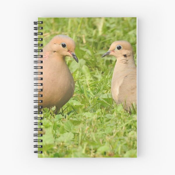 Item preview, Mourning Doves designed and sold by priesterjen.