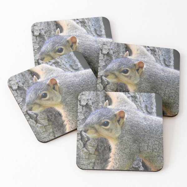 Item preview, Squirrel 1 designed and sold by priesterjen.