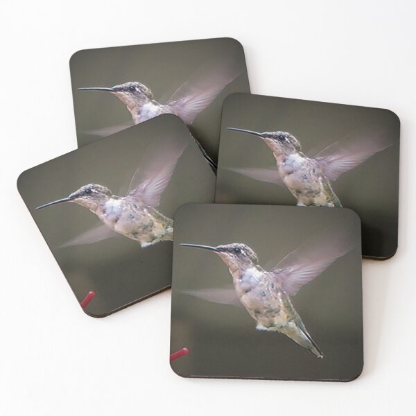 Artikelvorschau, Kolibri im Flug entworfen und verkauft von priesterjen.