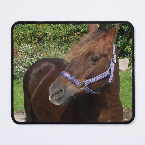 Item preview, Lacey the Welsh Pony designed and sold by priesterjen.