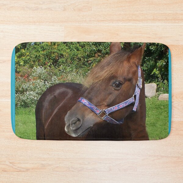 Item preview, Lacey the Welsh Pony designed and sold by priesterjen.