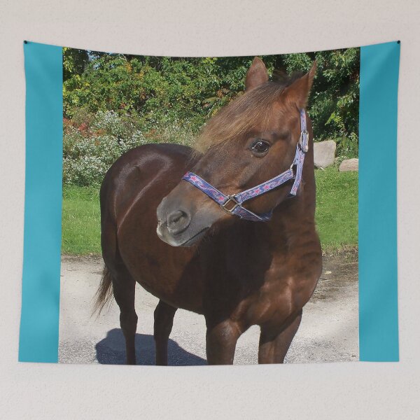Item preview, Lacey el poni galés designed and sold by priesterjen.