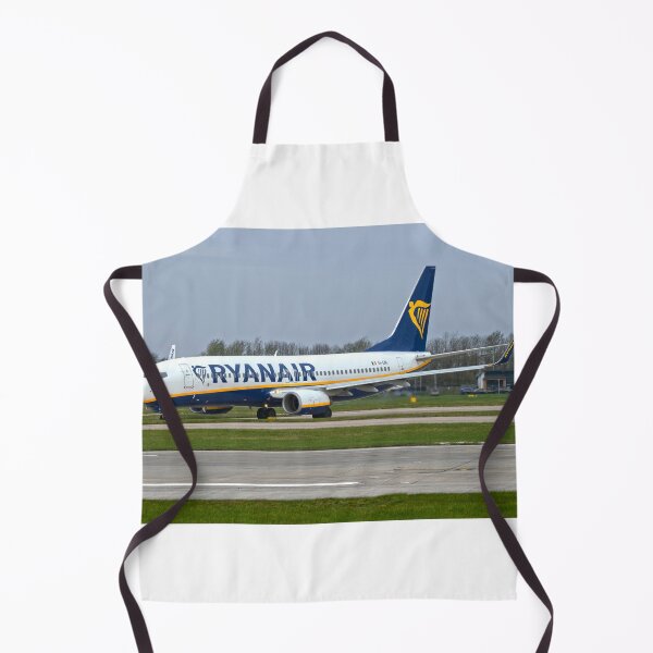 Item preview, Ryanair Boeing 737 EI-ENL MAN to DUB designed and sold by Skyframe Aviation.