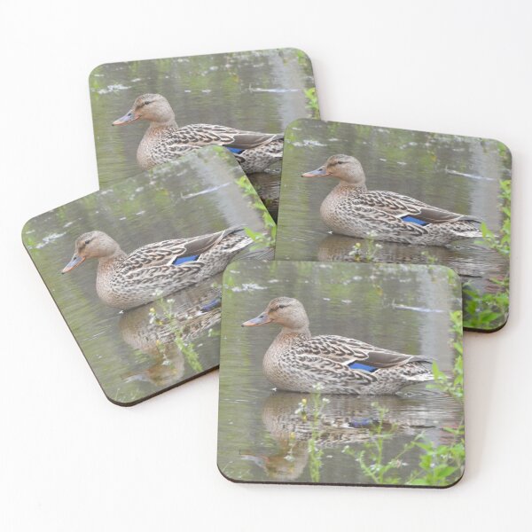 Item preview, Female Mallard Duck with Reflection designed and sold by priesterjen.