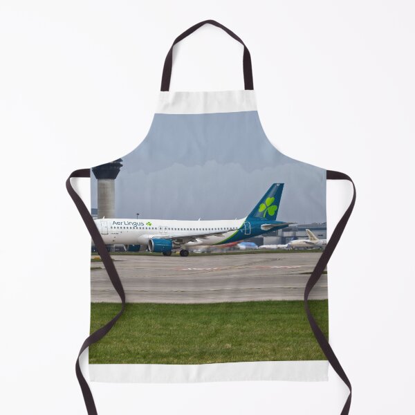 Item preview, Aer Lingus Airbus A320 EI-DEF MAN to DUB designed and sold by Skyframe Aviation.
