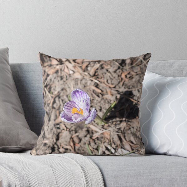 Item preview, Purple Striped Crocus Flower Blooming Solo designed and sold by Georgia Mizuleva.