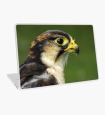 Lanner falcon Laptop Skin
