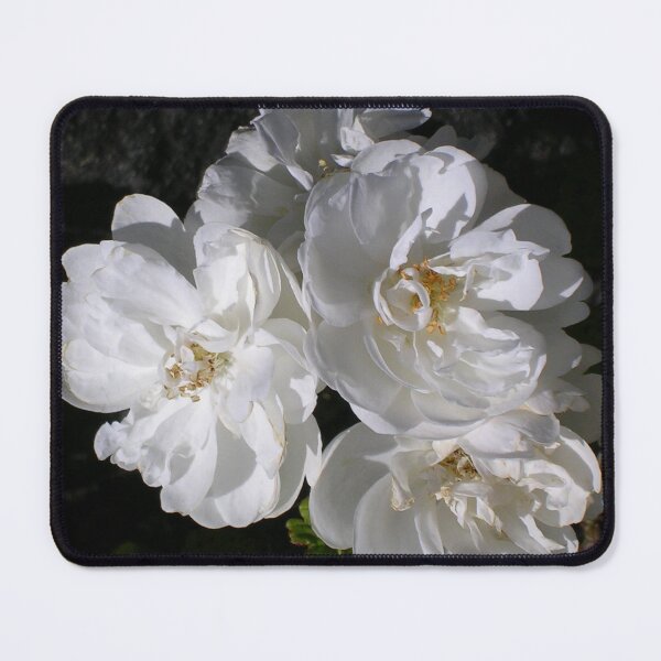 Item preview, Jacobite Rose designed and sold by lezvee.